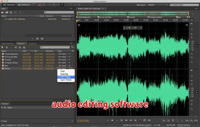 audio editing software