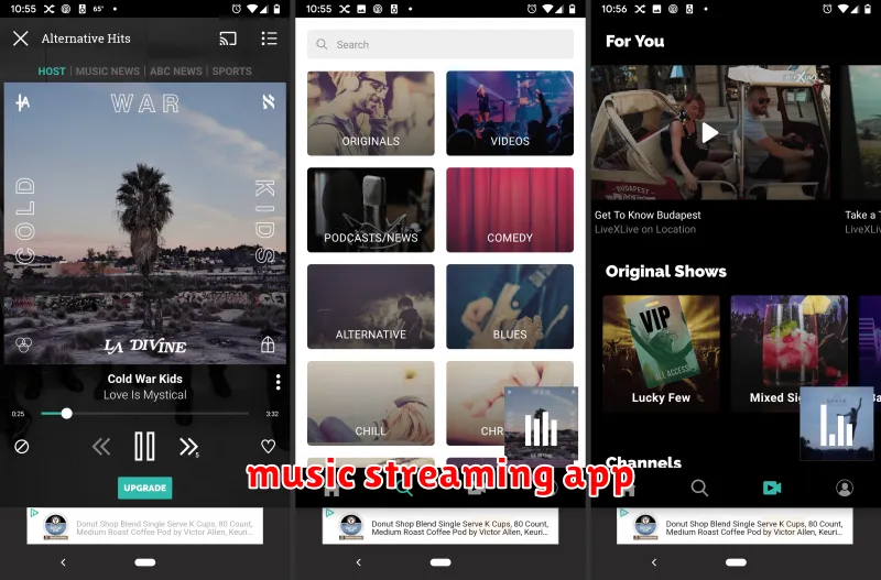 music streaming app