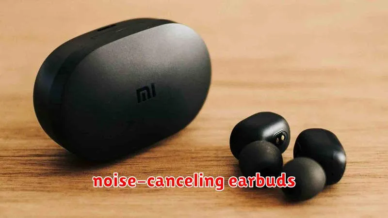 noise-canceling earbuds