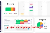 project management software