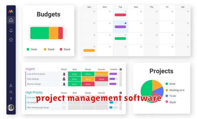 project management software